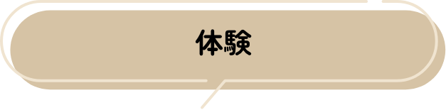体験