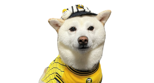 白柴サムくん